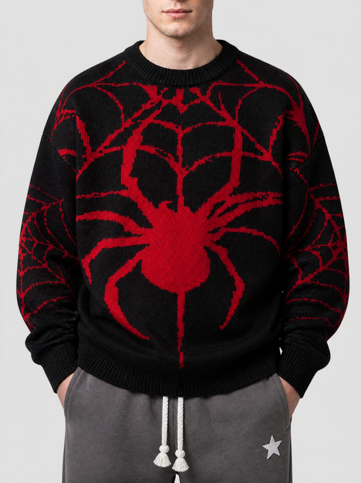 Photo détail | Gros plan sur le jacquard rouge du pull noir : grande araignée centrale et toiles sur les manches | Variante : Noir