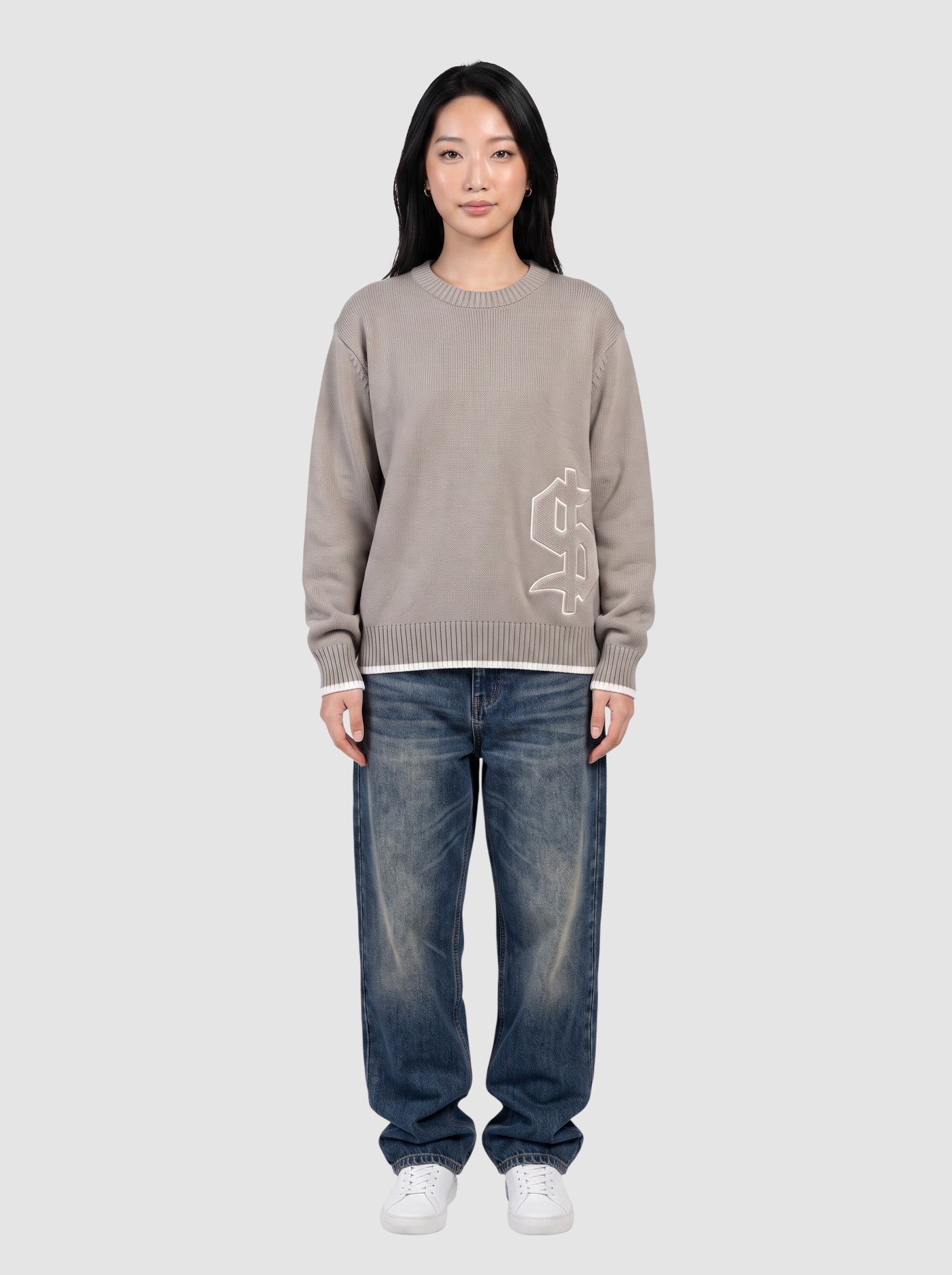 Y2K Avenue taupe cotton knit sweater with gothic dollar patch, boxy fit, and white trim details on a model